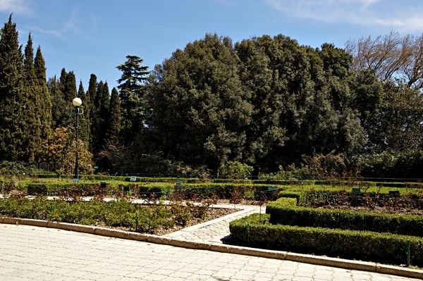 Jardín Botánico — Foto de Stock
