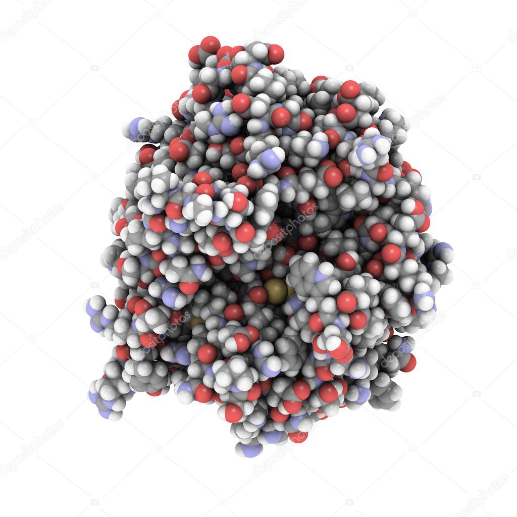 Thrombin structure — Stock Photo © molekuul #11047321