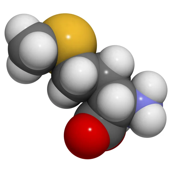 Selenomethionine (Sem) molecule.