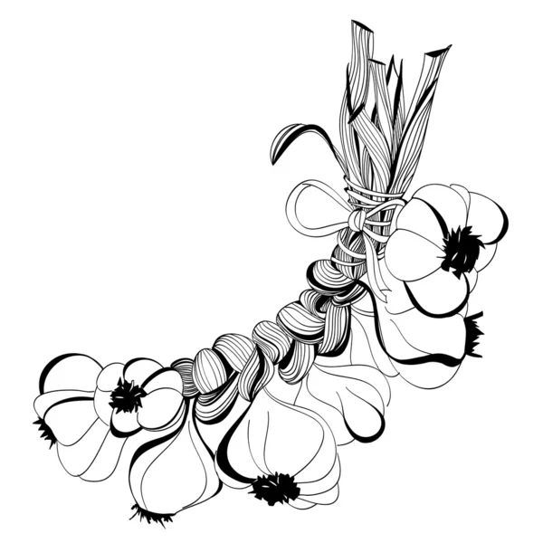 Bosquejo estilizado de un manojo de arboledas de ajo — Archivo Imágenes Vectoriales