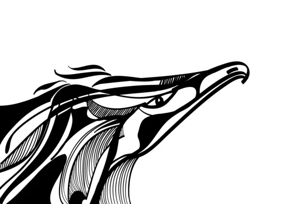 Disegno stilizzato in bianco e nero di una testa d'aquila — Vettoriale Stock