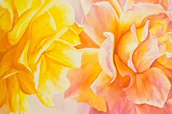Yellow and Peach Roses — Stock Photo, Image