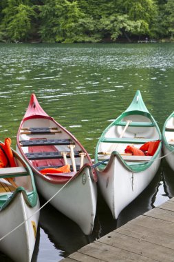 Kayaks on a lake in East Germany clipart