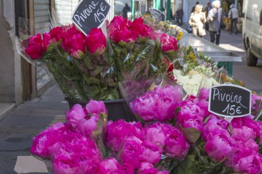 seçim çiçek sergilenen, paris, Fransa