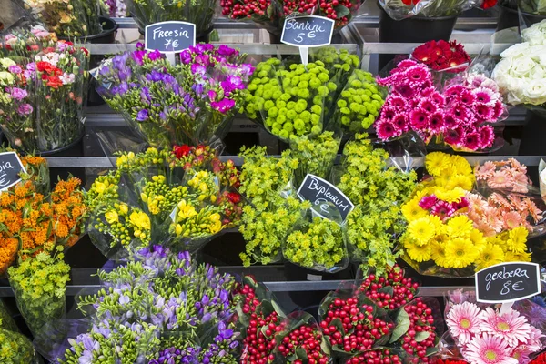 Selectie van bloemen te zien in Parijs, Frankrijk — Stockfoto