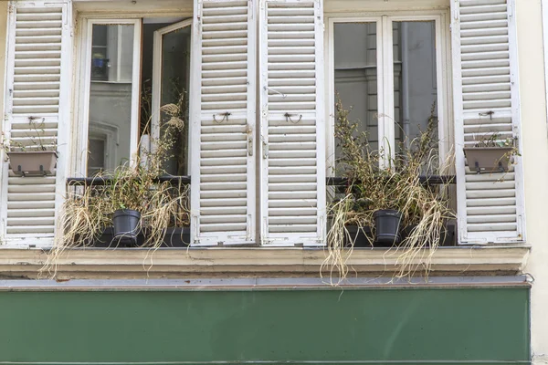 Традиционные окна и ставни с высохшими цветами — стоковое фото
