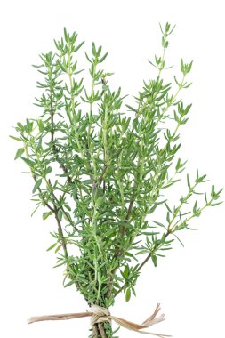 Fresh thyme herb on white clipart