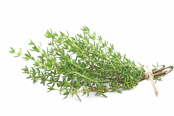 Свіжа чебрець трава на білому — стокове фото