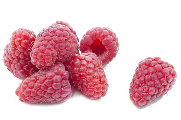 在白色的新鲜树莓 — 图库照片