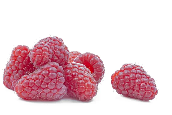 在白色的新鲜树莓 — 图库照片