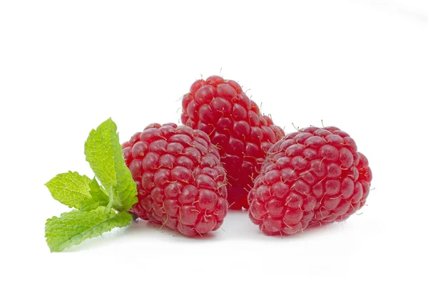 Fresh Raspberries with mint leaf — Stockfoto