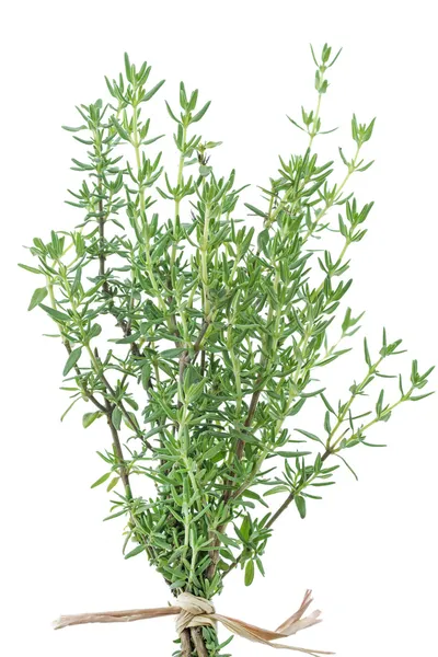 Fresh thyme herb on white Royalty Free Stock Images