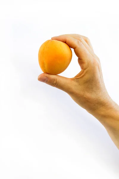 Женщина держит абрикос за руку — стоковое фото