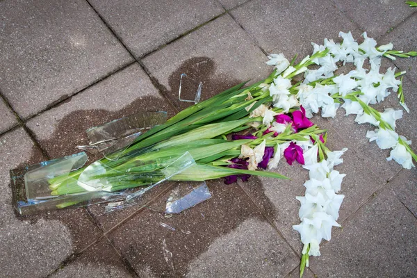 Шкаралупи розбитої вази на підлозі — стокове фото