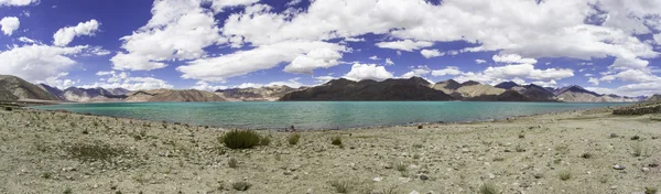 Panoramaaufnahme des Pangon Lake in ladakh, Indien — Stockfoto