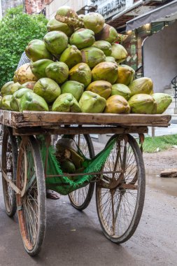 Selling coconuts in Delhi street, India clipart