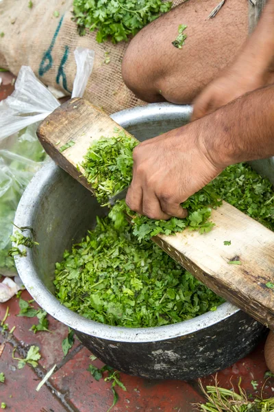Snijden koriander in delhi, india — Stockfoto