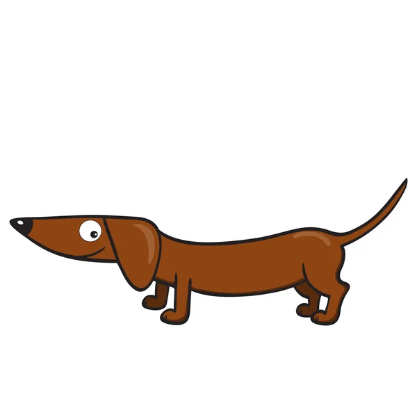 Dakshund — Stock vektor