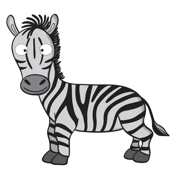 Cartoon zebra — Stock Vector