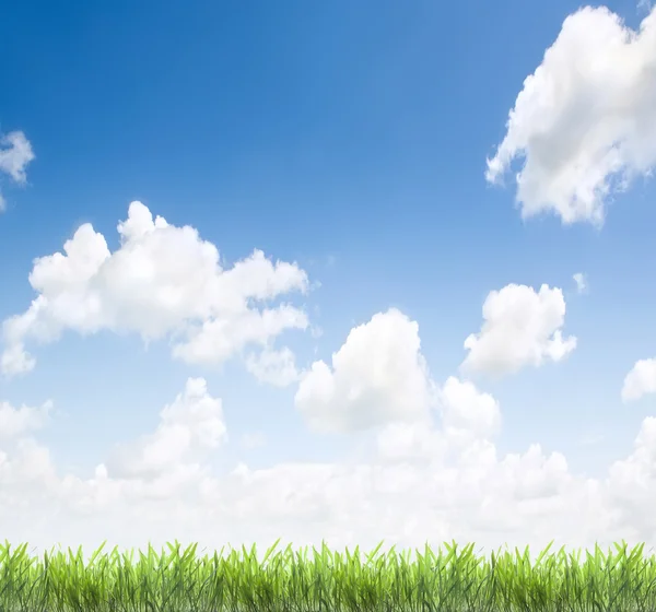 Gräs och himmel som bakgrund — Stockfoto