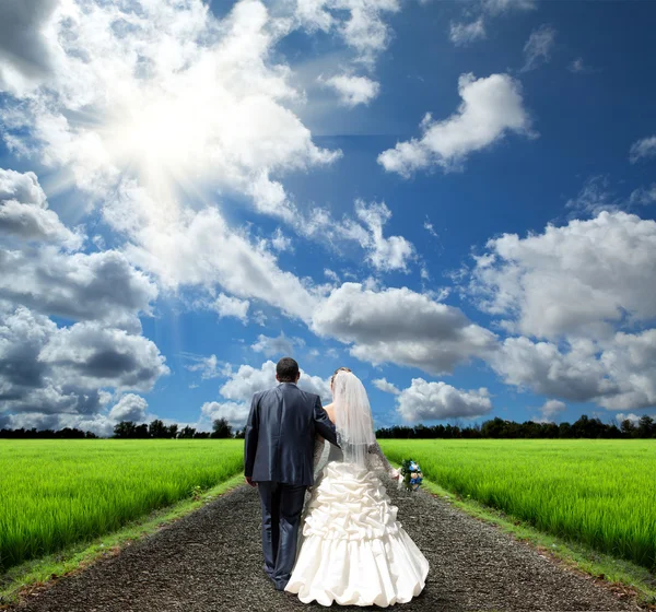 stock image The bride and groom