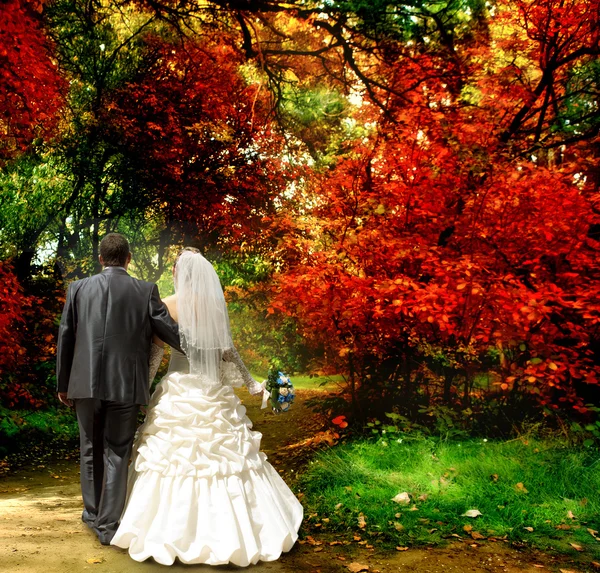 Herfst. de bruid en bruidegom — Stockfoto