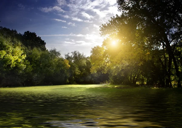 森林湖在黎明的光芒 — 图库照片
