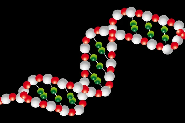 Cadena de ADN — Vector de stock