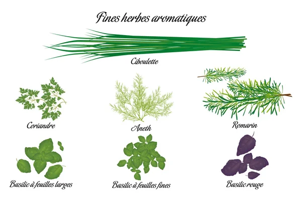 Cartel de hierbas aromáticas francés — Archivo Imágenes Vectoriales