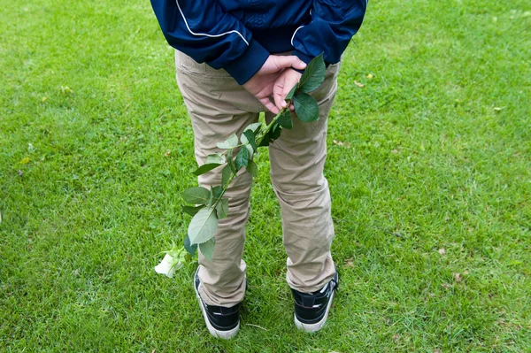 Boy with white rose — Stock Photo, Image