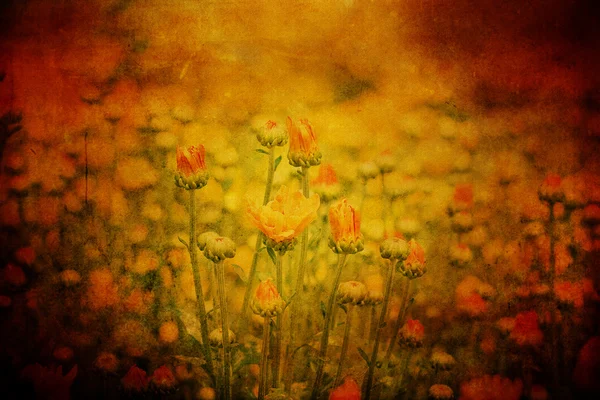 Grungy Beautiful flowers — Stock Photo, Image