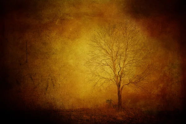 Grungy Tree on the hill. Stock Image