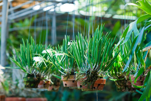 Кастрюли на заводе
