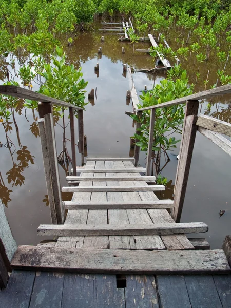 Ladder to marsh — Stock Photo, Image