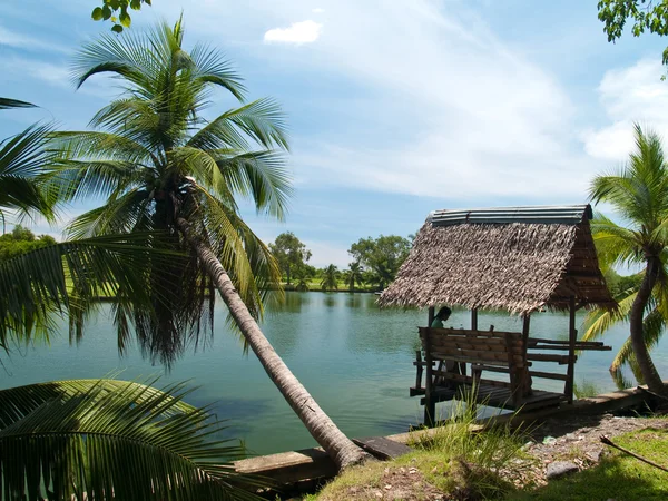 Kokosnøtt og liten hytte – stockfoto
