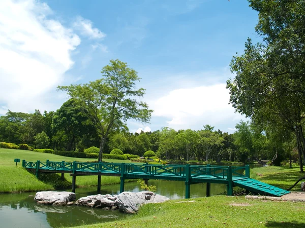 Ponte de madeira verde — Fotografia de Stock