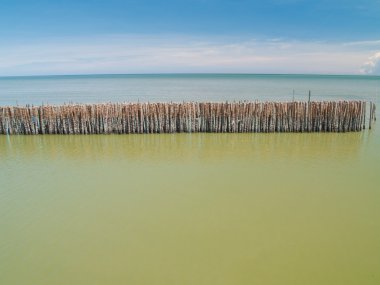 çit bambu satır