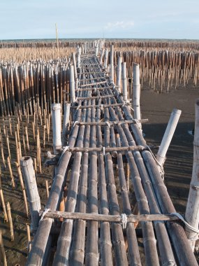Bambu Köprüsü