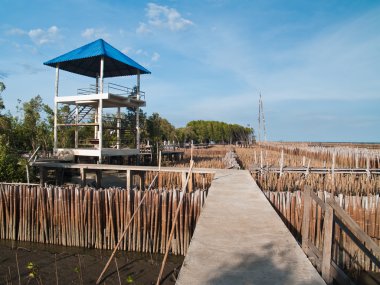 kuleye bakış ve bambu tüp ffield