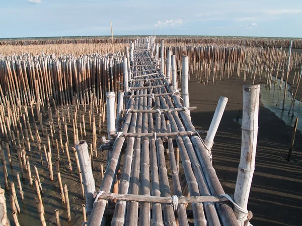 Ponte de bambu — Fotografia de Stock
