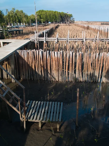 Piccolo lato dell'acqua tra il campo di tubo di bambù — Foto Stock