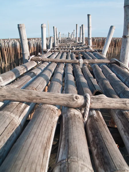 Бамбуковый мост — стоковое фото