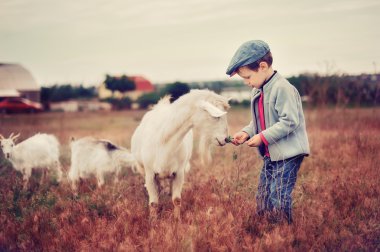 Small herdboy clipart