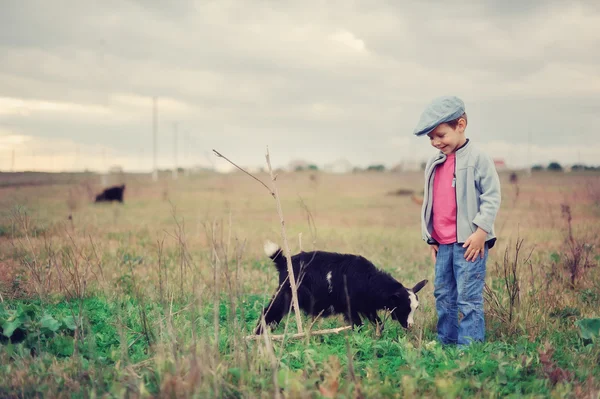 Small herdboy — Stock Photo, Image