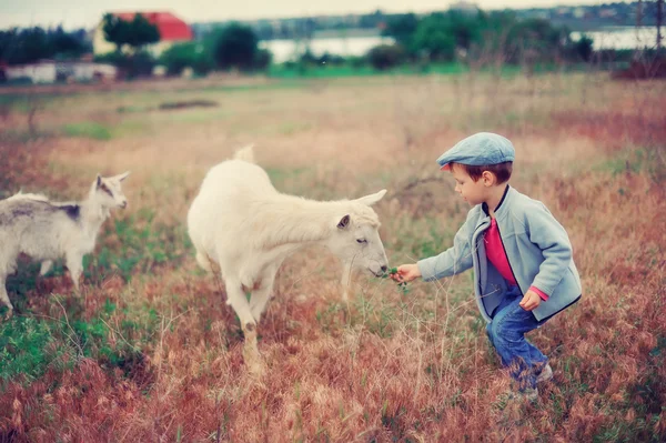 小さな herdboy — ストック写真
