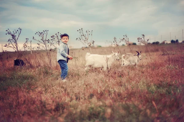 Μικρές herdboy — Φωτογραφία Αρχείου