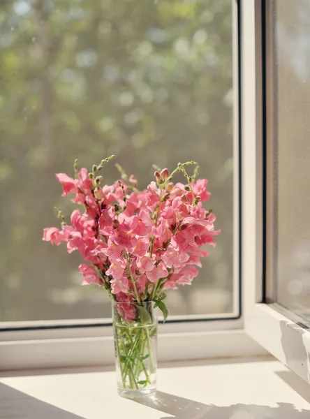 Flores silvestres — Foto de Stock