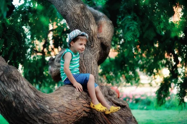 Chłopiec na drzewie — Zdjęcie stockowe