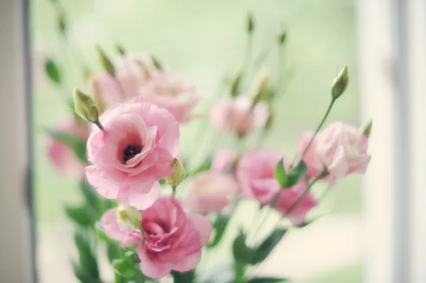 Bouquet field — Stock Photo, Image