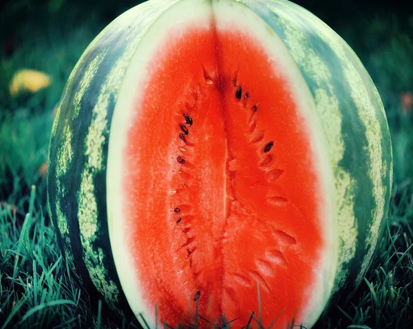 Air-melon — Stok Foto